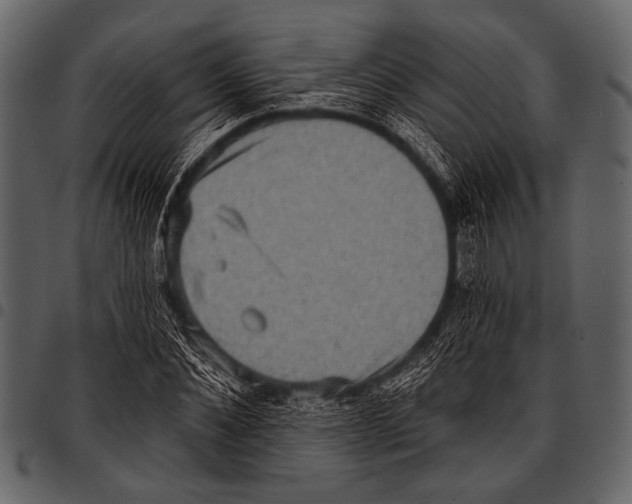 X0000097490876200803201528