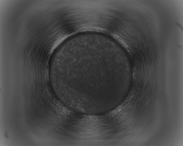 X0000097490877200803201528