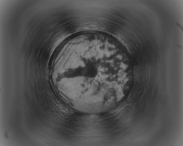 X0000097490879200803201528