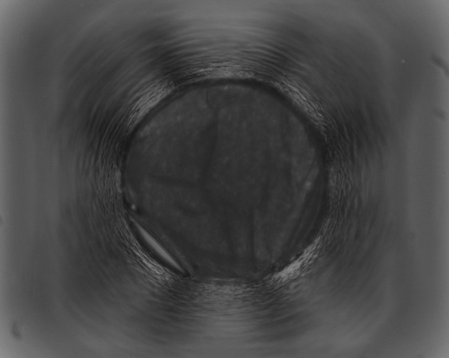 X0000097490881200803201528