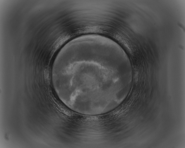 X0000097490882200803201528