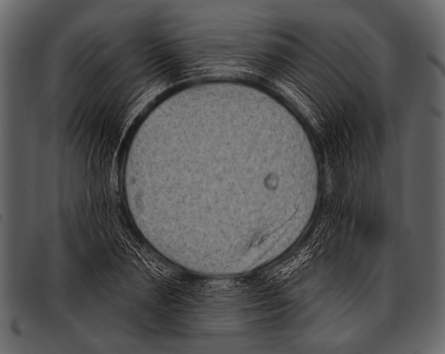 X0000097490883200803201528