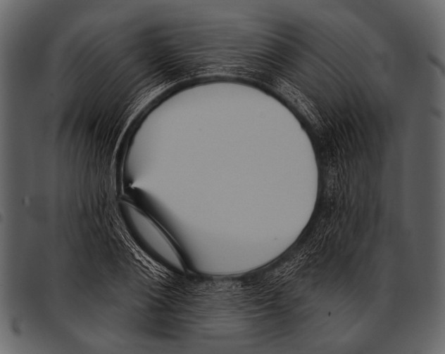 X0000097490884200803201528