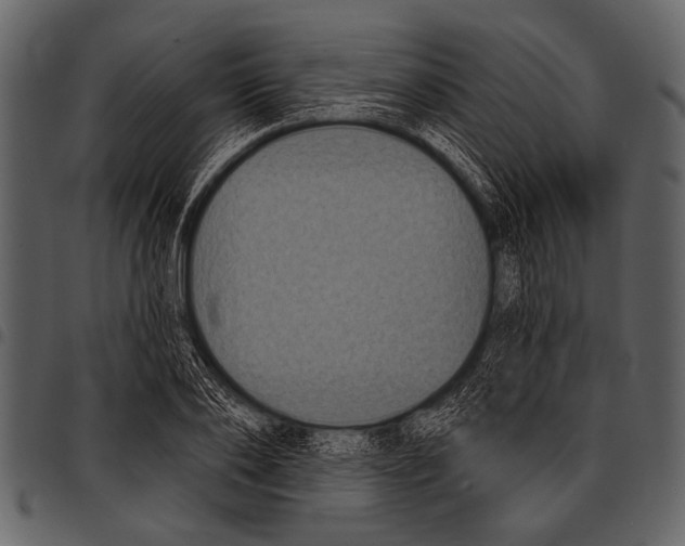 X0000097490886200803201528