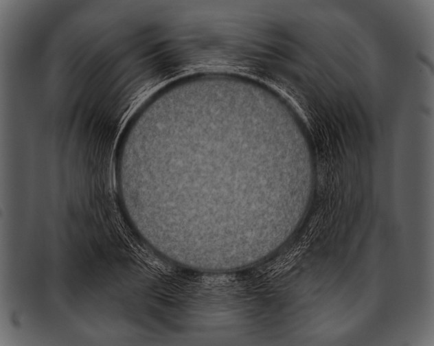 X0000097490887200803201528