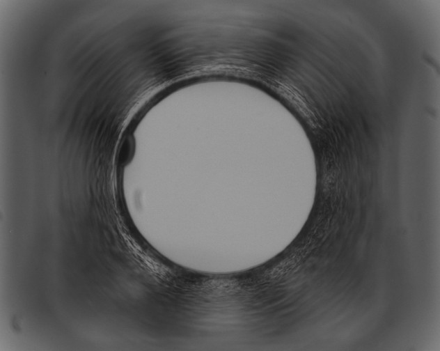 X0000097490888200803201528