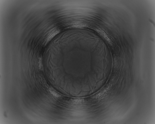 X0000097490889200803201528