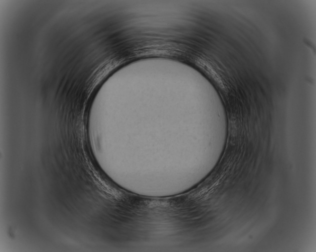 X0000097490890200803201528