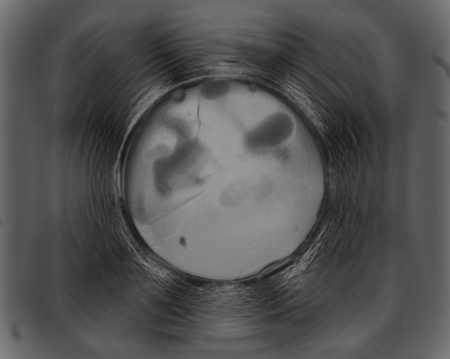 X0000097490891200803201528