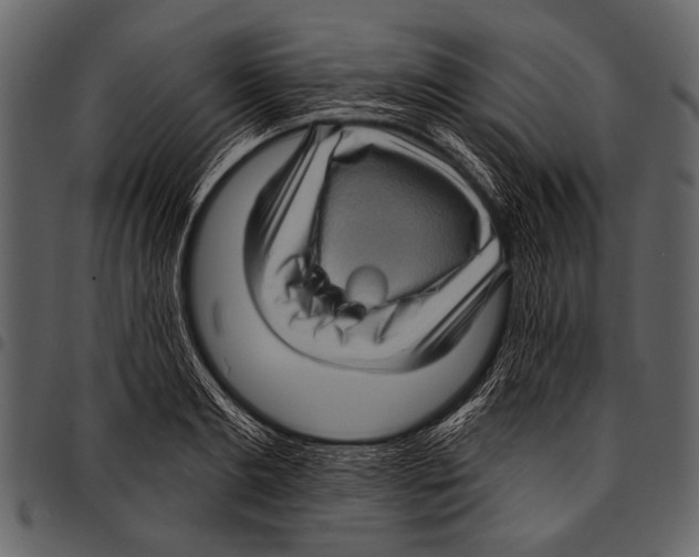 X0000097490893200803201528