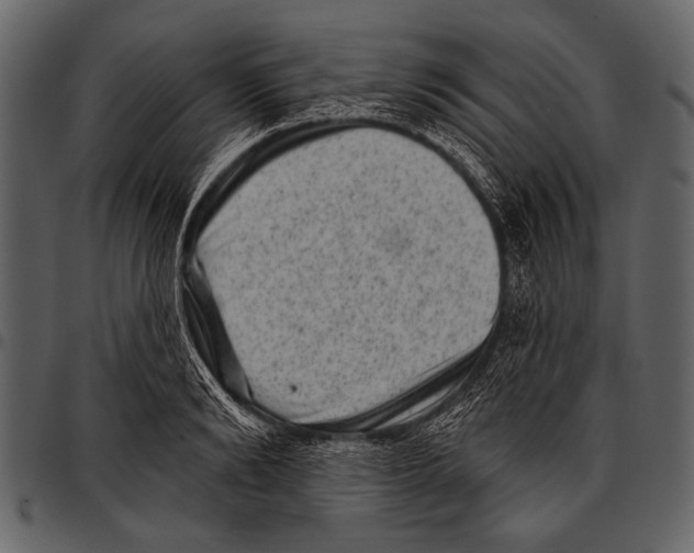 X0000097490894200803201528