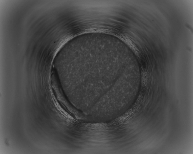 X0000097490896200803201528