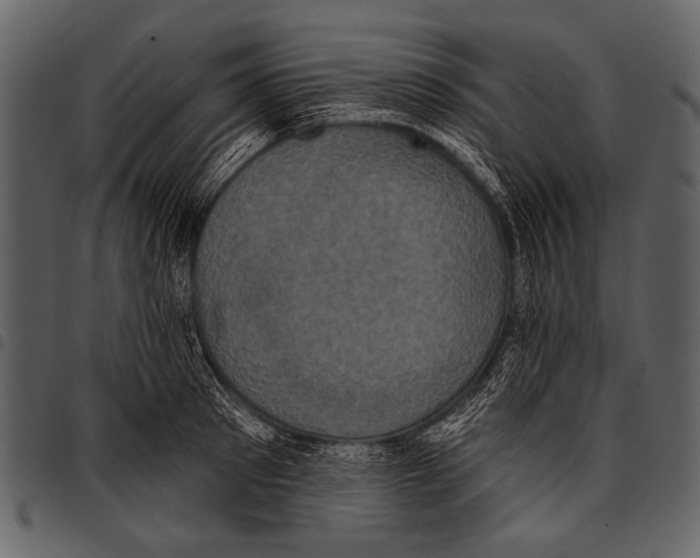 X0000097490897200803201528