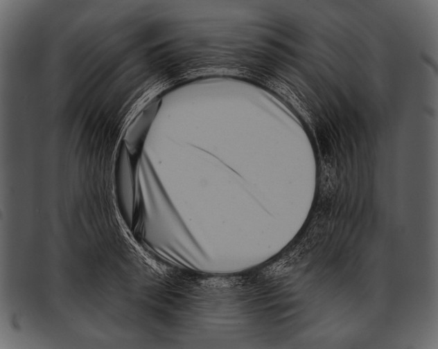 X0000097490898200803201528