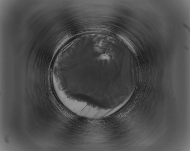 X0000097490899200803201528