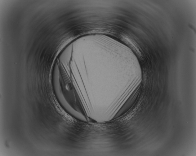 X0000097490900200803201528