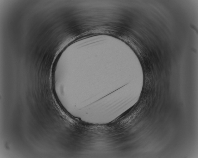 X0000097490902200803201528