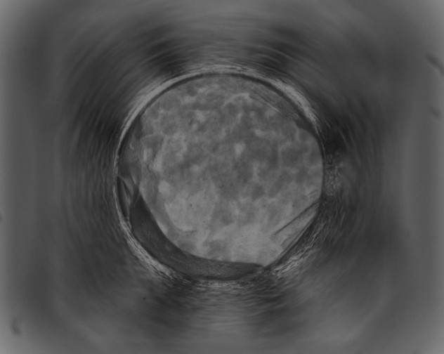 X0000097490903200803201528