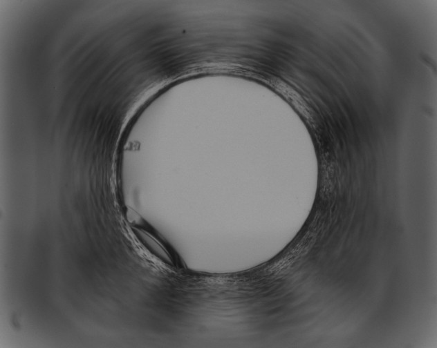 X0000097490904200803201528