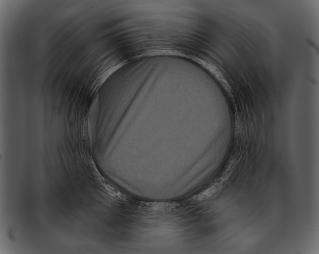 X0000097490905200803201528