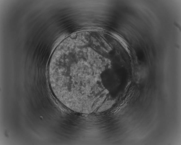 X0000097490907200803201528