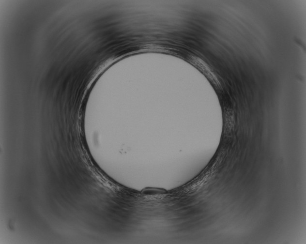 X0000097490908200803201528