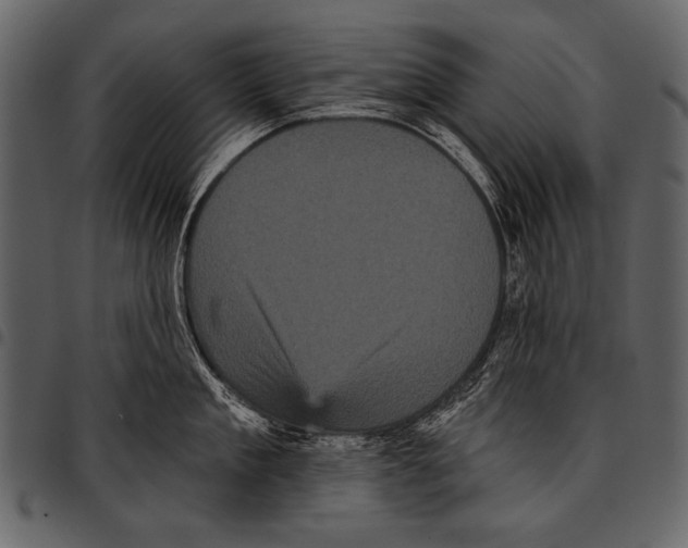 X0000097490909200803201528