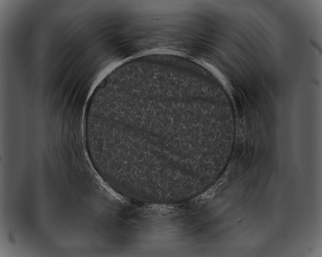 X0000097490910200803201528