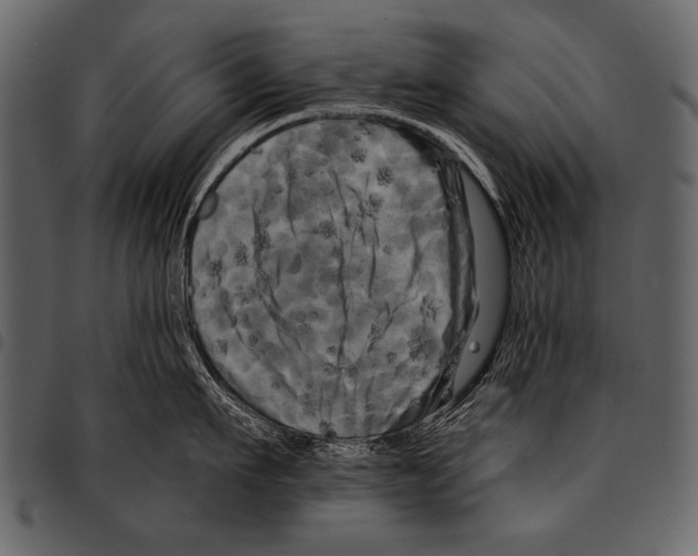 X0000097490911200803201528