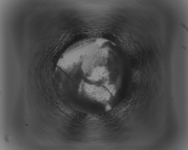 X0000097490913200803201527