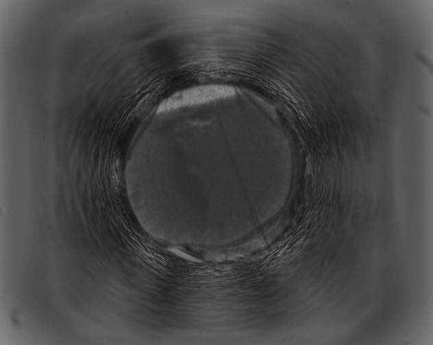 X0000097490915200803201527