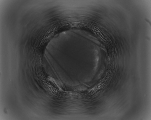 X0000097490916200803201527