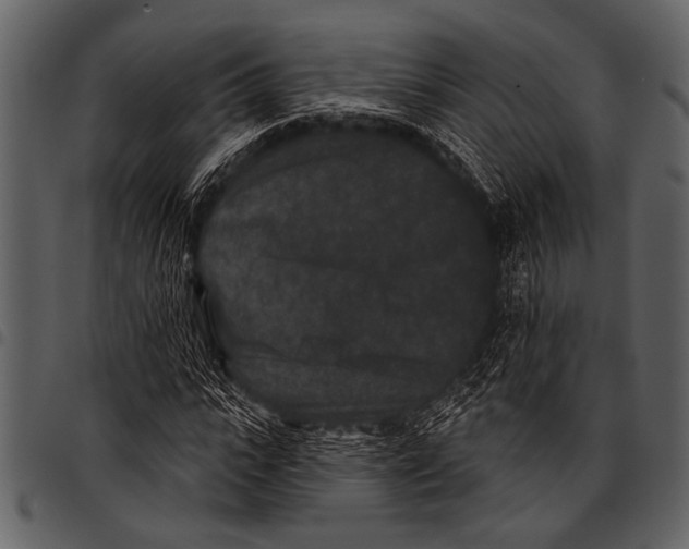 X0000097490919200803201527