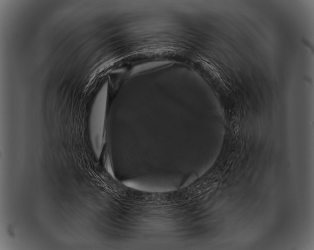 X0000097490920200803201527