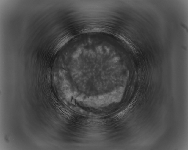 X0000097490921200803201527