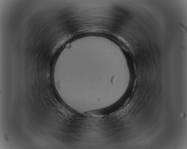 X0000097490922200803201527