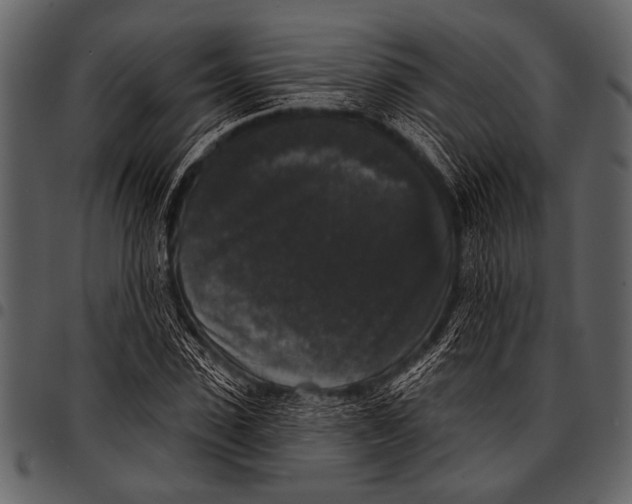 X0000097490923200803201527