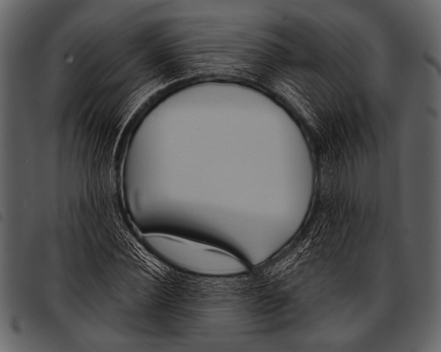 X0000097490924200803201527