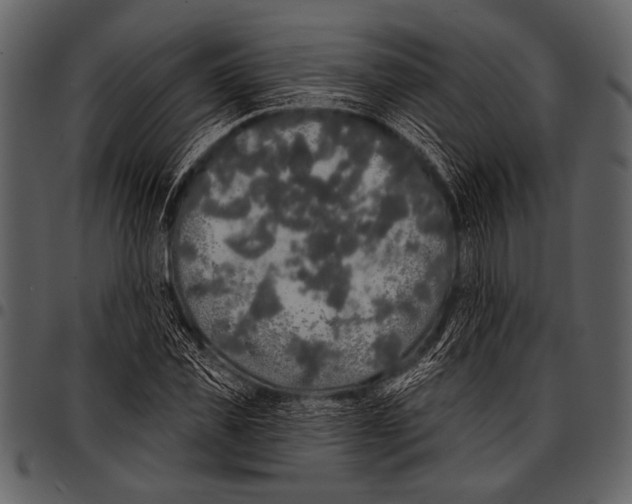 X0000097490925200803201527