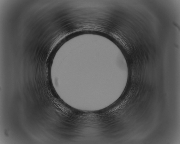 X0000097490926200803201527