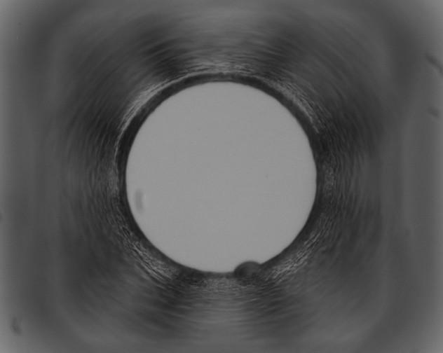 X0000097490927200803201527