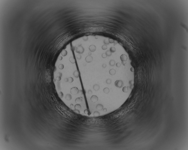 X0000097490929200803201527