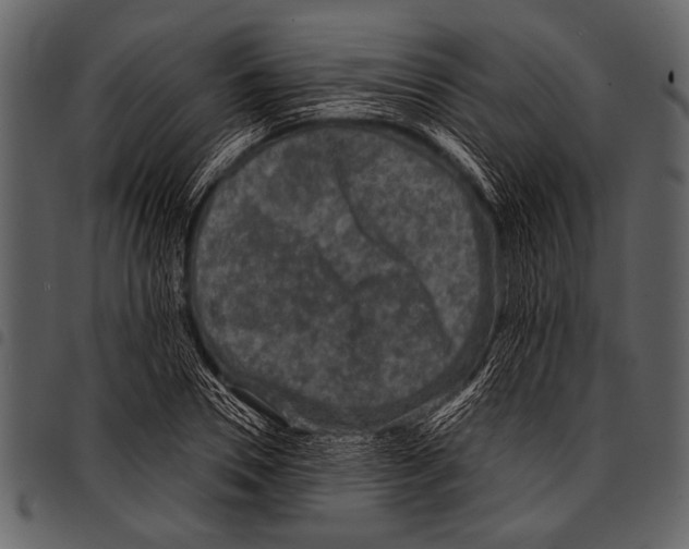 X0000097490930200803201527