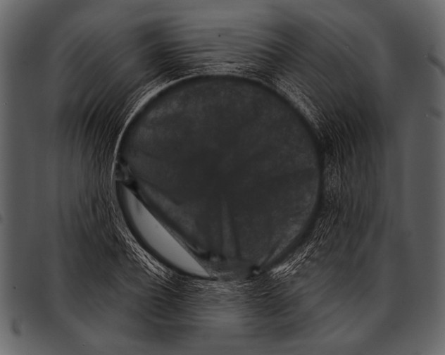 X0000097490932200803201527