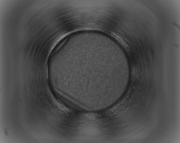 X0000097490934200803201527