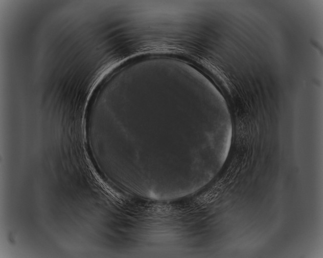 X0000097490935200803201527