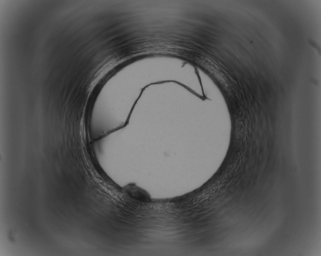 X0000097490936200803201528