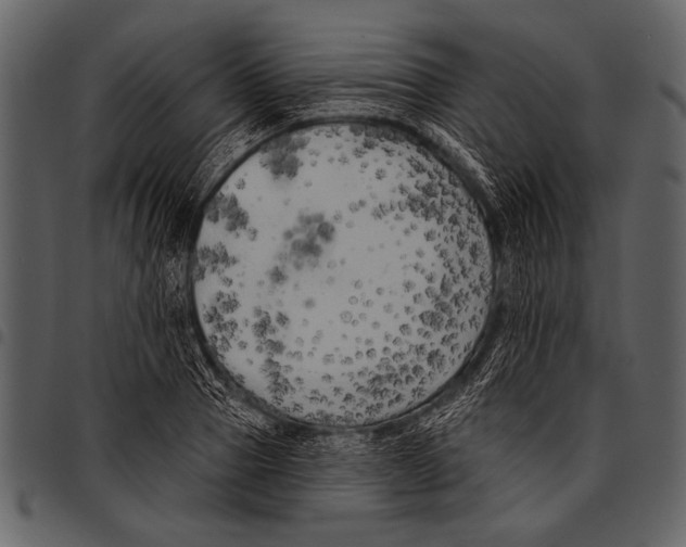 X0000097490937200803201528