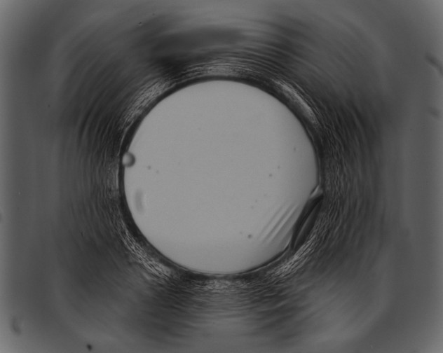 X0000097490938200803201528