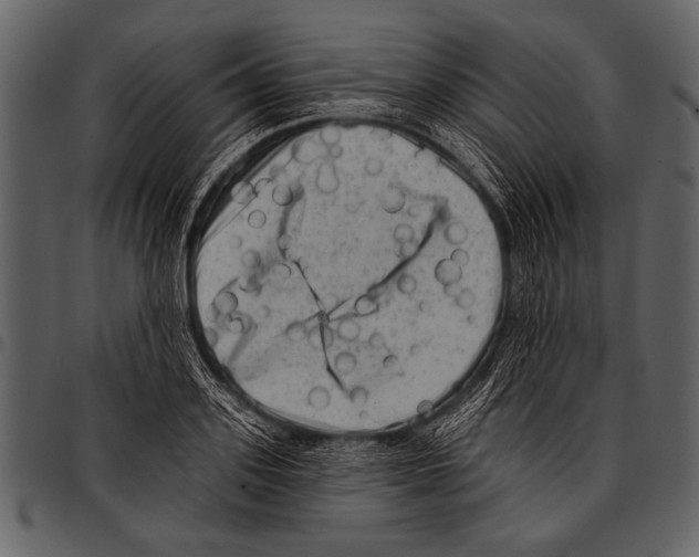 X0000097490939200803201528